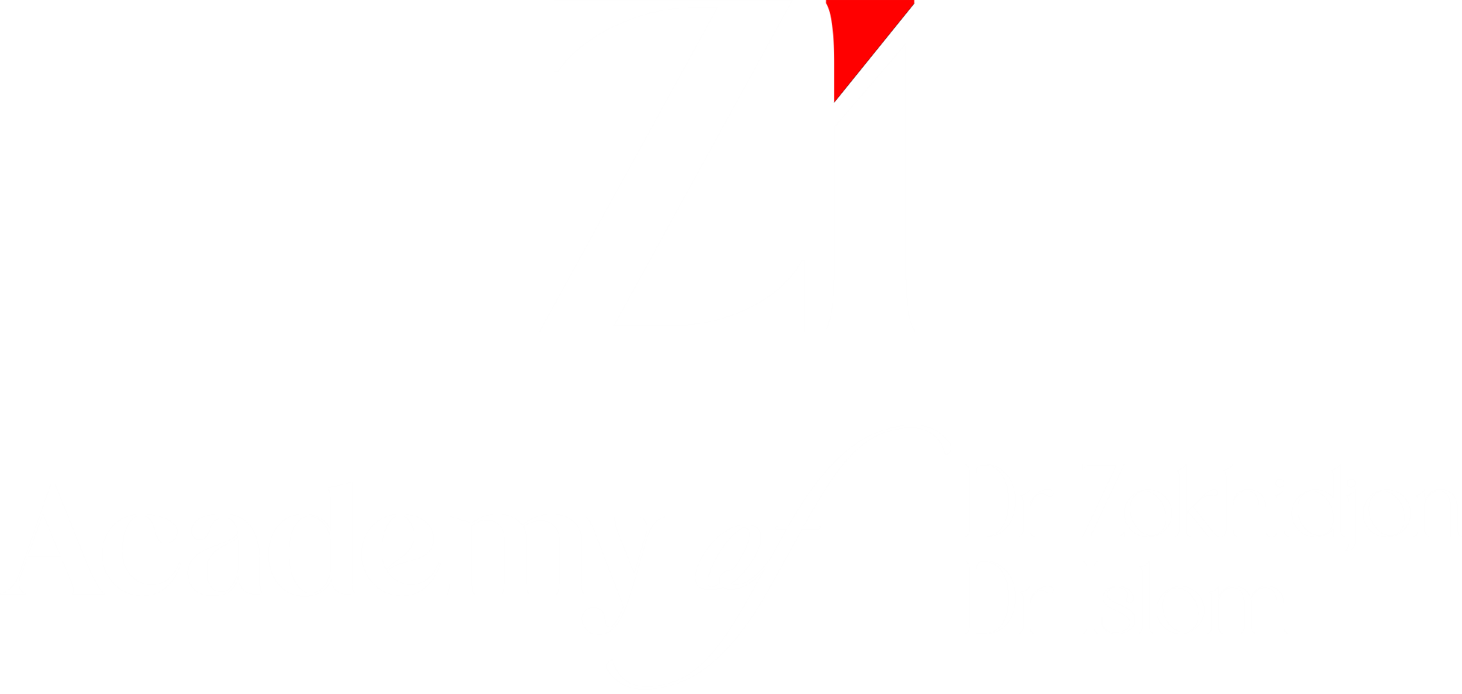ZI Academy