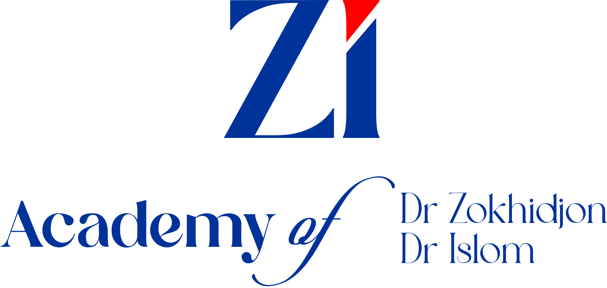 ZI Academy